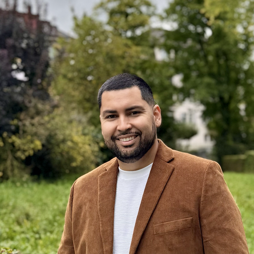Raphael Liming, Liming Technology